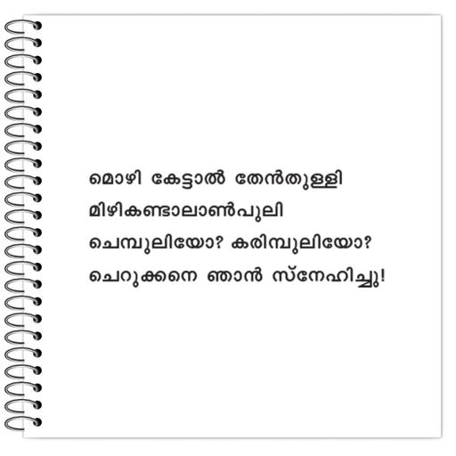 Picture of the product