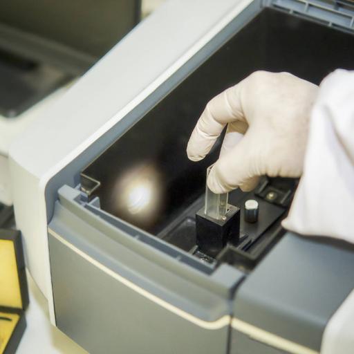 Picture of the product