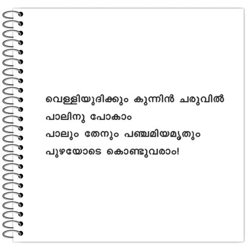 Picture of the product