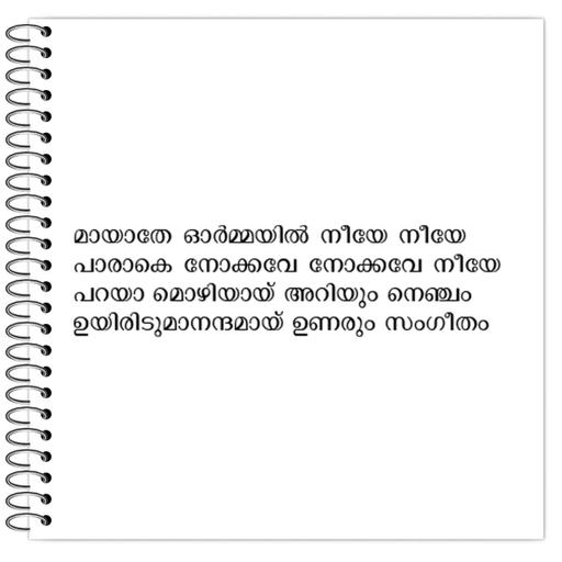 Picture of the product