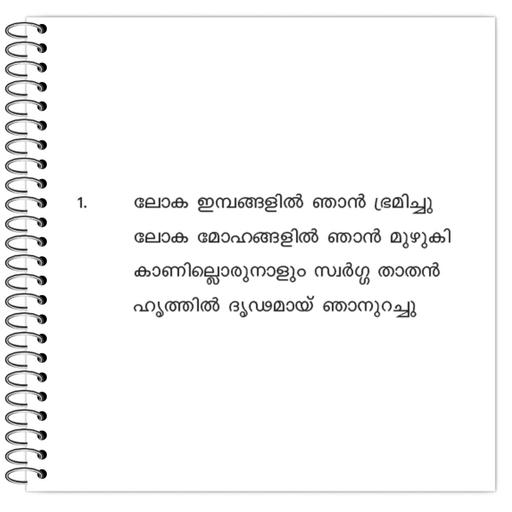 Picture of the product