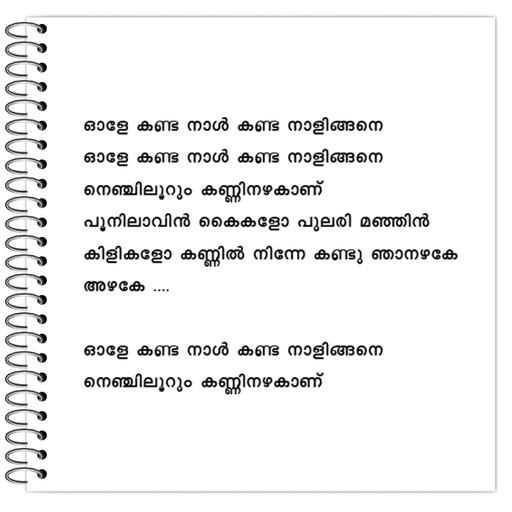 Picture of the product