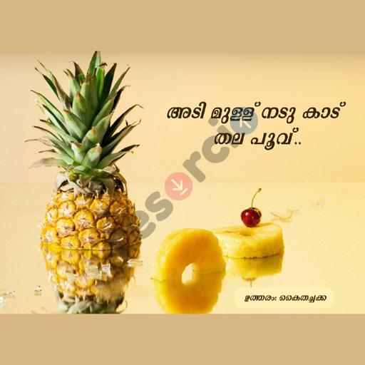 Picture of the product