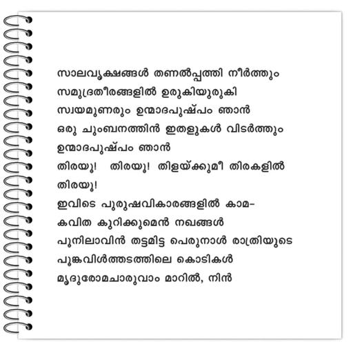 Picture of the product