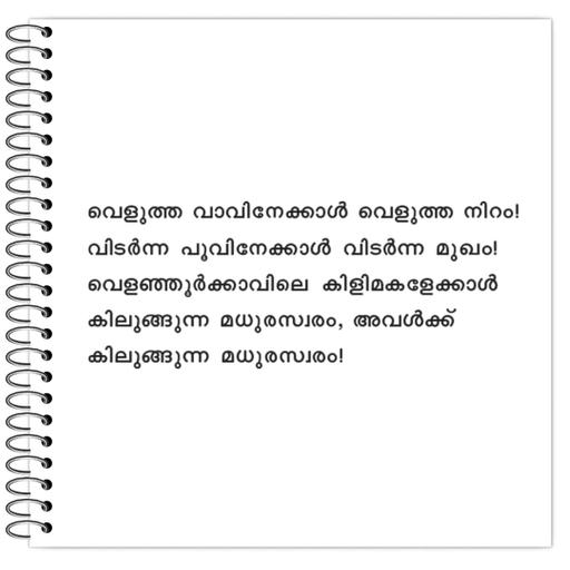 Picture of the product