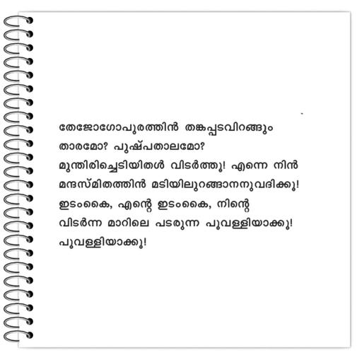 Picture of the product