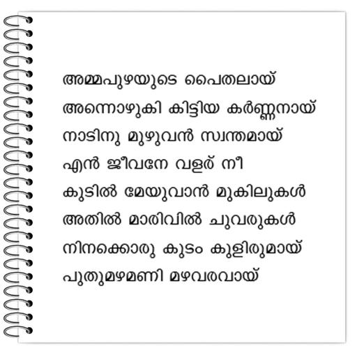 Picture of the product