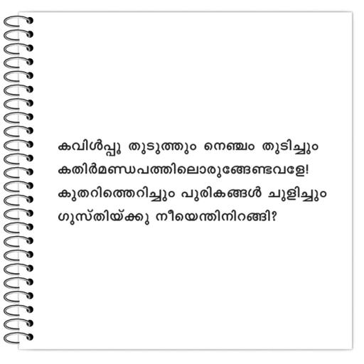 Picture of the product