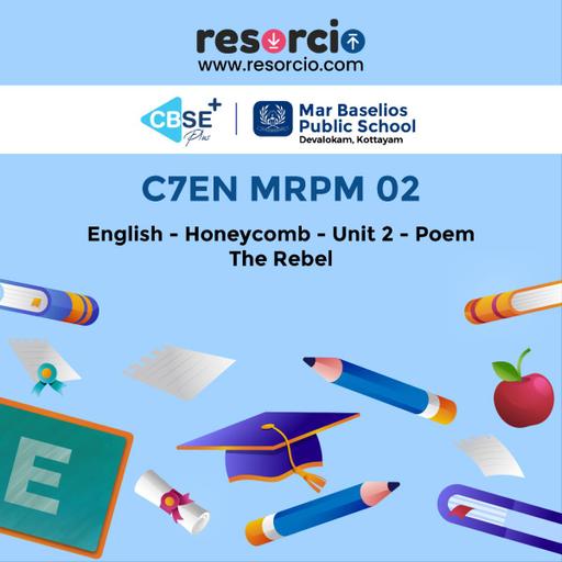 Picture of the product