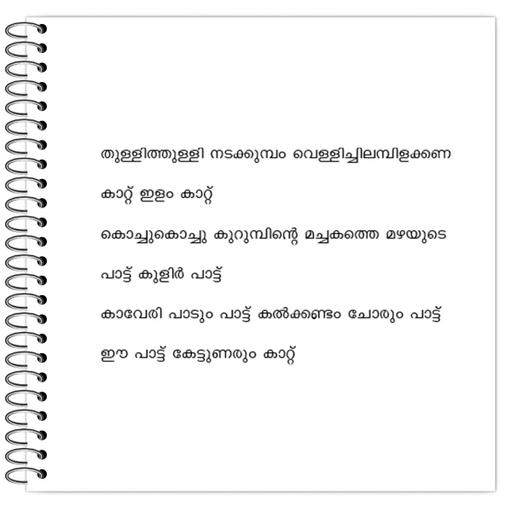 Picture of the product