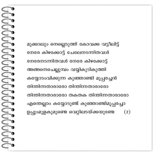 Picture of the product