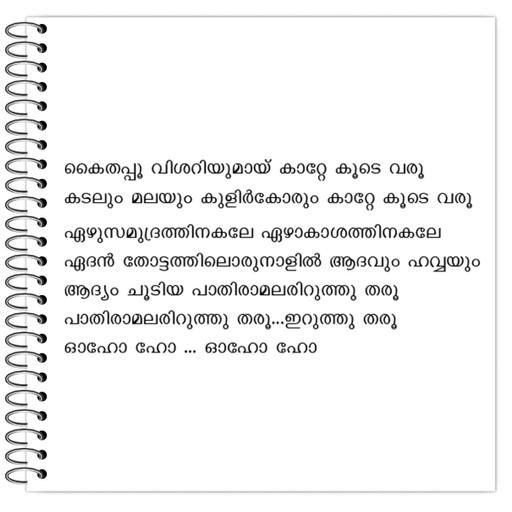 Picture of the product