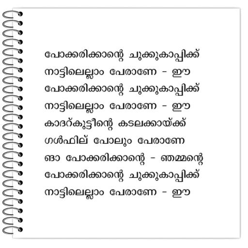 Picture of the product