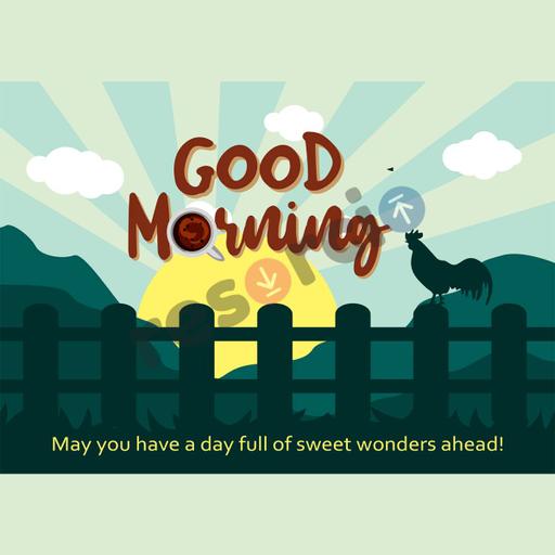 Picture of the product