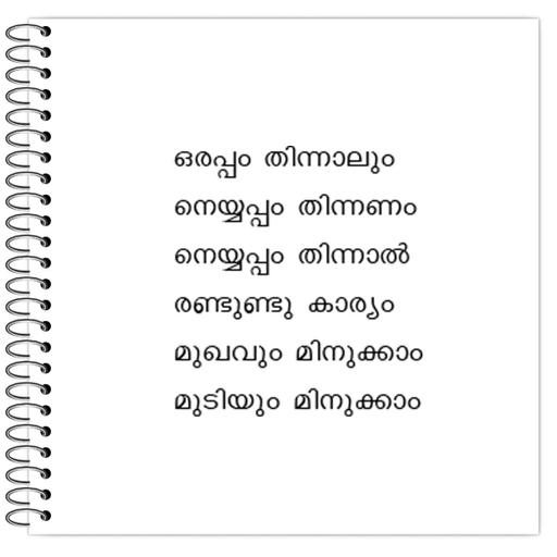 Picture of the product