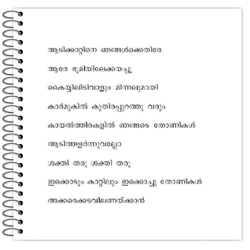 Picture of the product