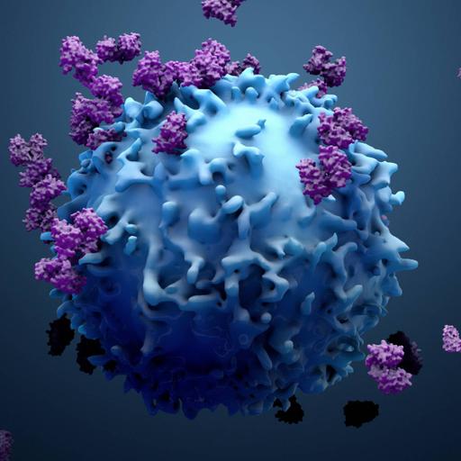 Picture of the product