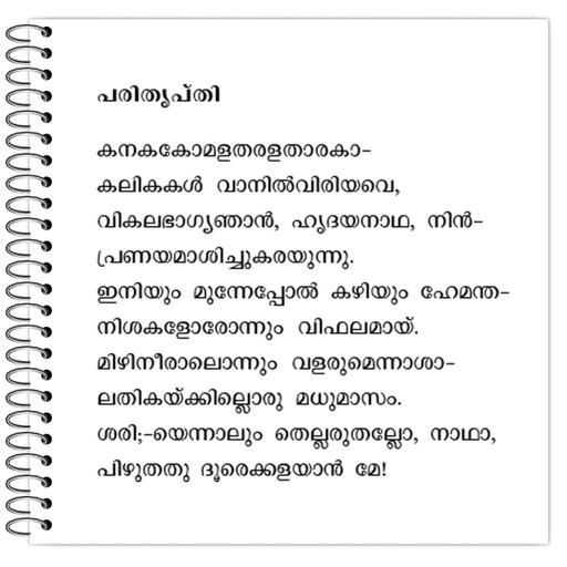 Picture of the product