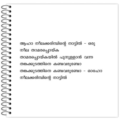 Picture of the product