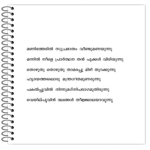 Picture of the product