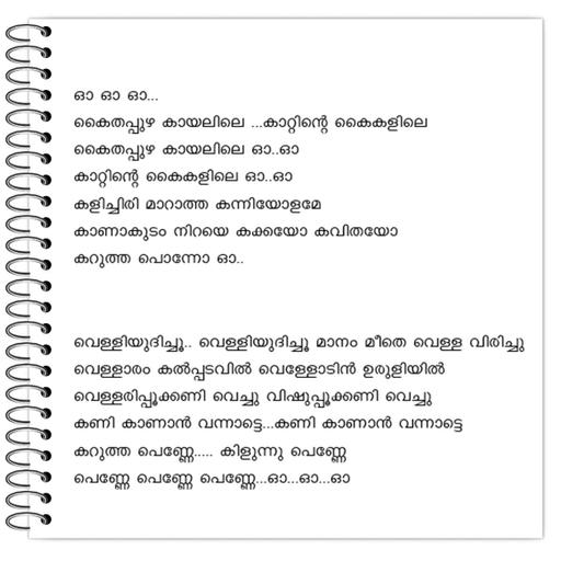 Picture of the product