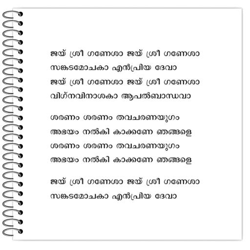 Picture of the product