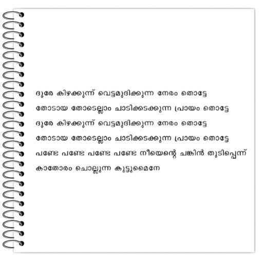 Picture of the product