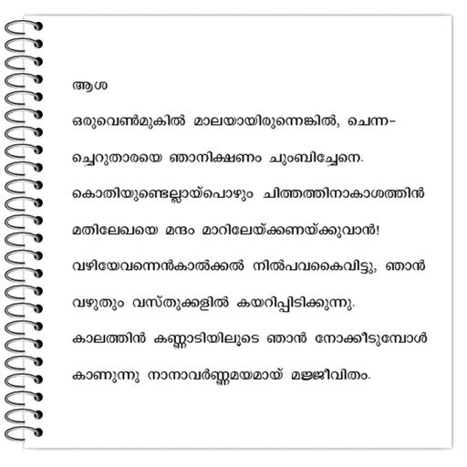 Picture of the product