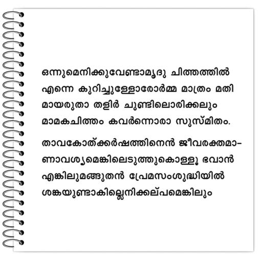 Picture of the product