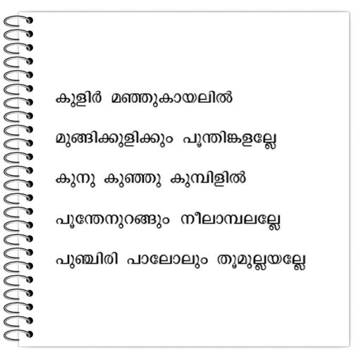 Picture of the product