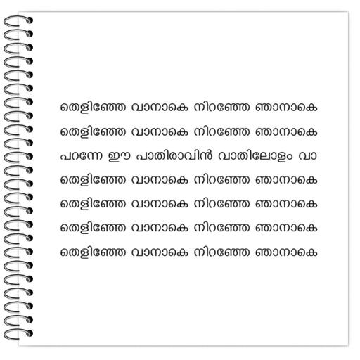 Picture of the product