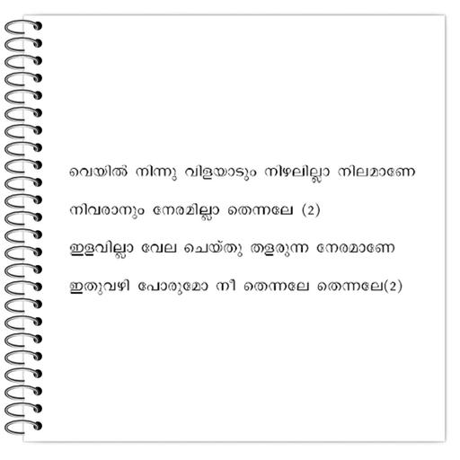 Picture of the product