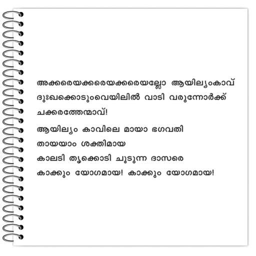 Picture of the product