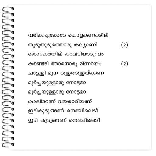 Picture of the product