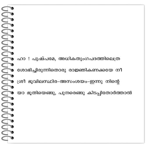 Picture of the product