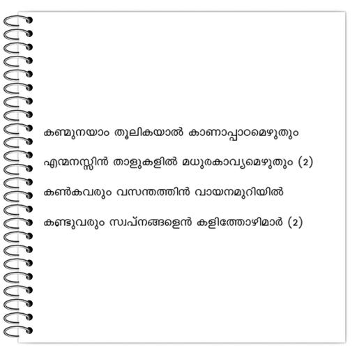 Picture of the product