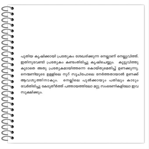 Picture of the product