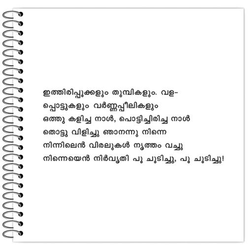 Picture of the product