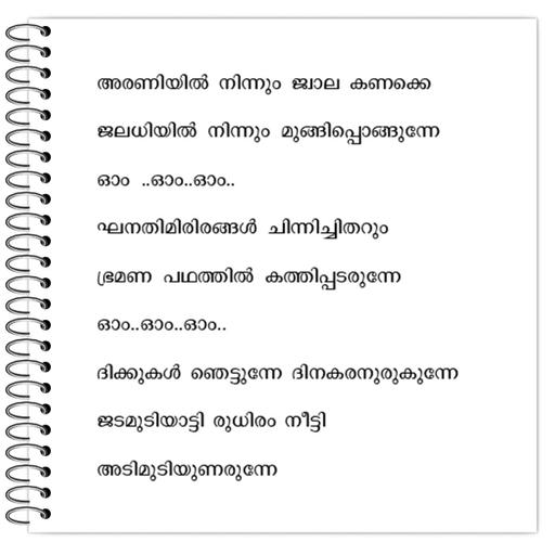 Picture of the product