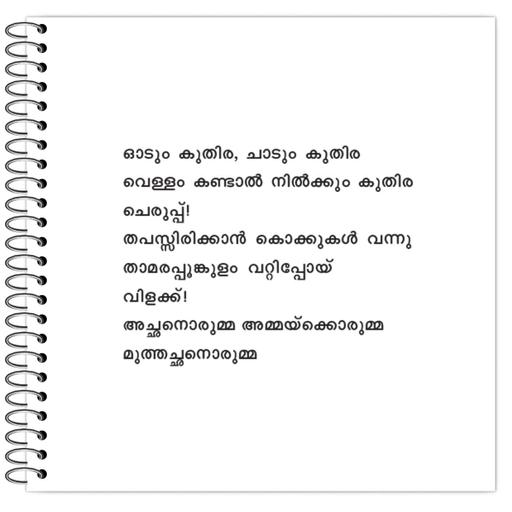 Picture of the product