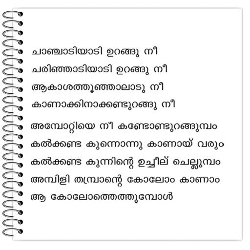 Picture of the product