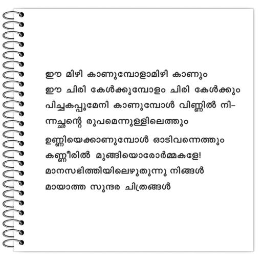 Picture of the product