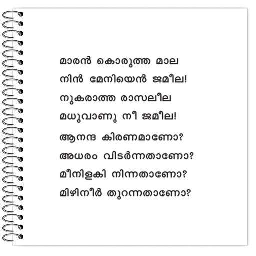 Picture of the product