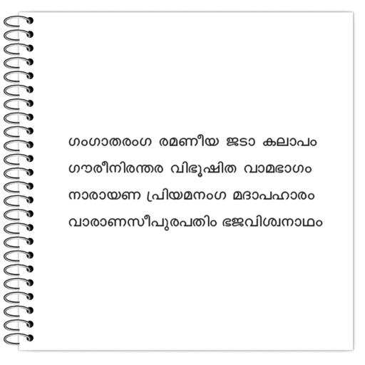 Picture of the product