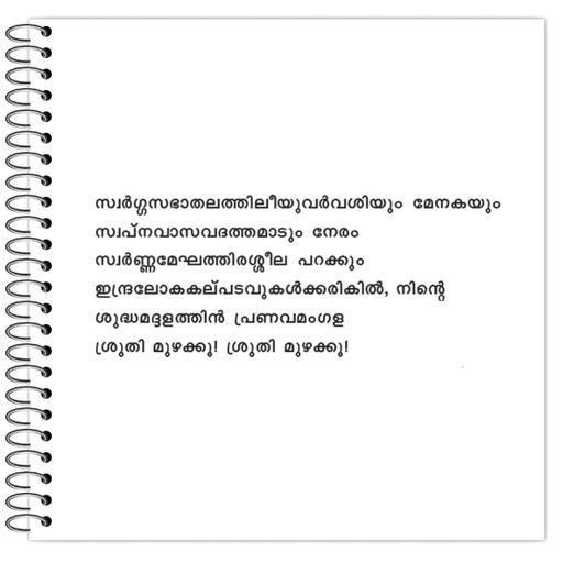 Picture of the product