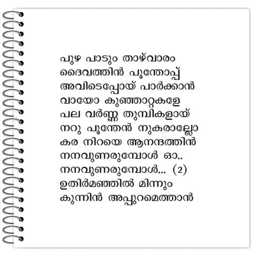 Picture of the product