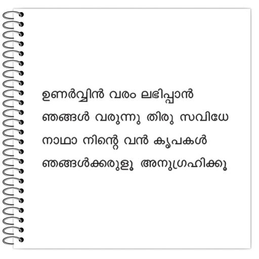 Picture of the product