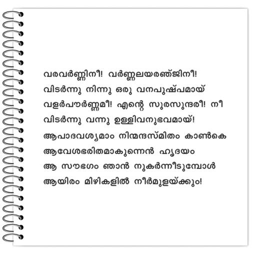 Picture of the product