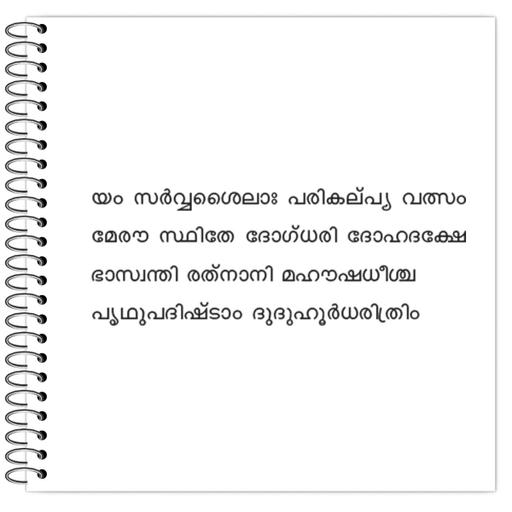 Picture of the product