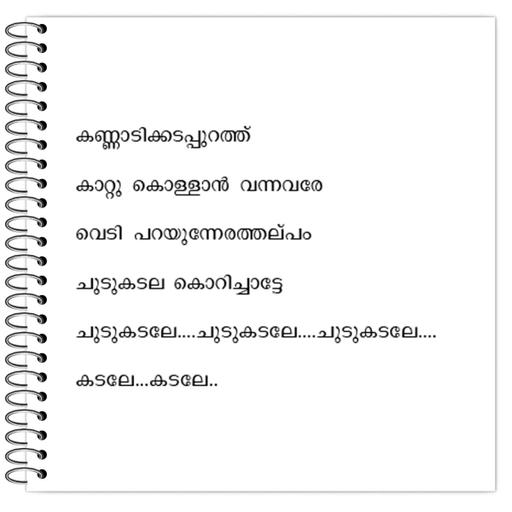 Picture of the product